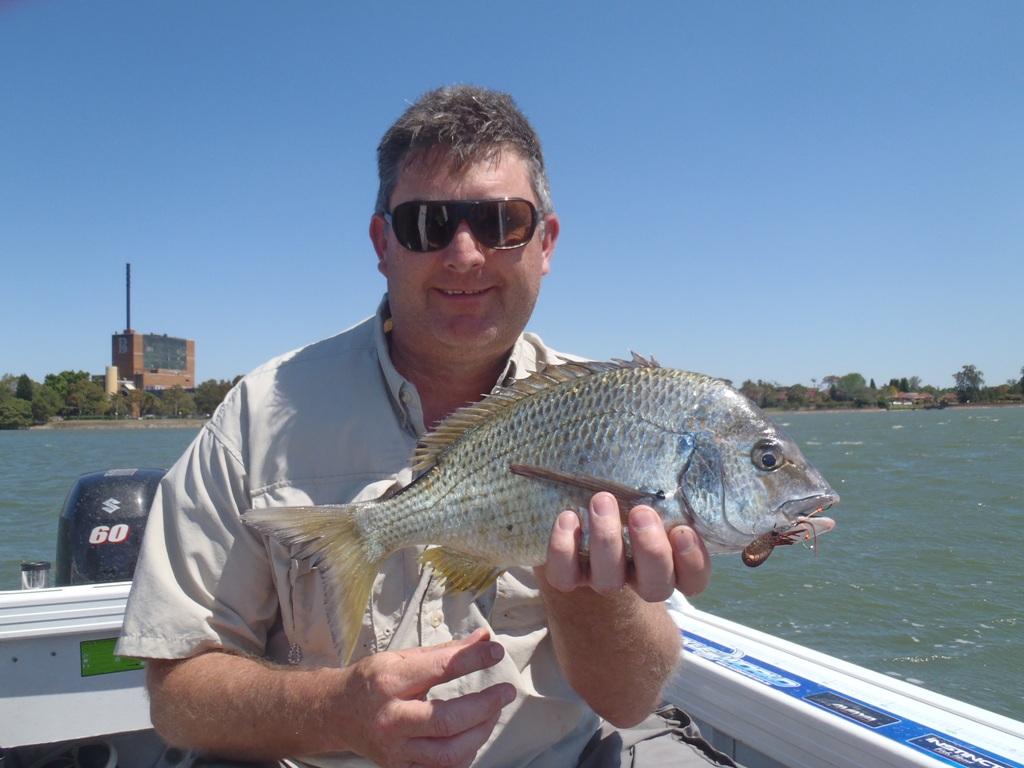 Aaron caught this kilo  bream while blading the entrnce to Hen and Chicken Bay in the Parramatta River © Gary Brown